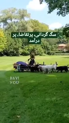 فکر کن اینجا به اسم فرار مغزها برا نظام فاکتور میکنن بعد 