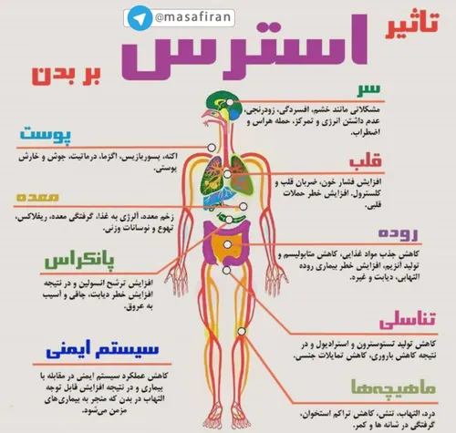 شخصی sadeghsad 20382739 - عکس ویسگون