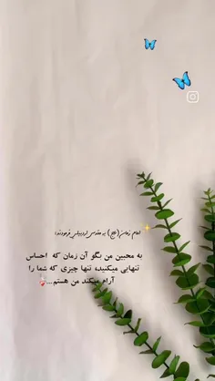 💫✨امام زمان عج به مقدس اردبیلی فرمودند: به‌ محبین من بگوی