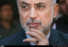 علی اکبر صالحی (رییس سازمان انرژی اتمی و عضو تیم مذاکره ک