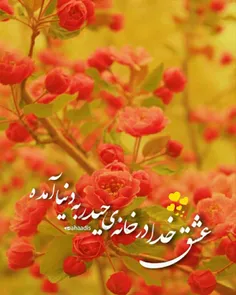 امام صادق علیه السلام ؛