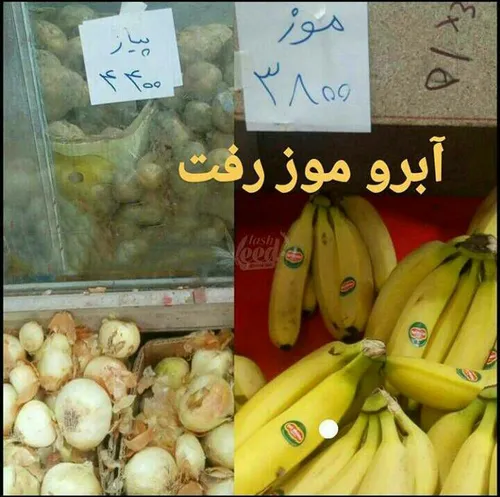 ⭕ ️آبرو موز رَت..