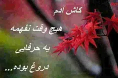 کاش....