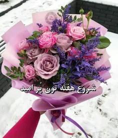 🌸  #ظهر_شروع_هفته‌تون_پرامید