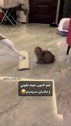 هم اکنون خونه تکونی مادران سرزمینم 😂