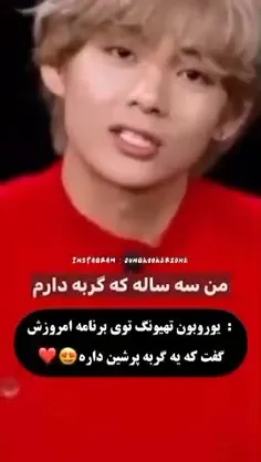 نشسته ام به دیوار نگا می کنم.....