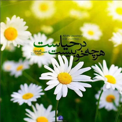 بوی خوش زن