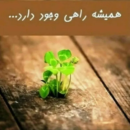 عکس نوشته