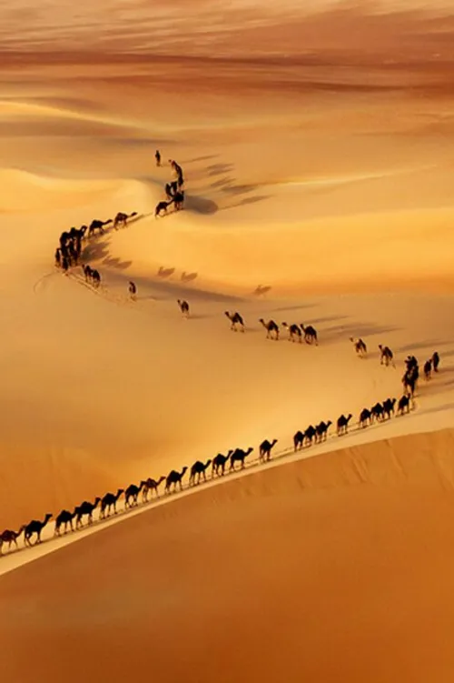 حاجیان جمعند دور هم به صحرای منا