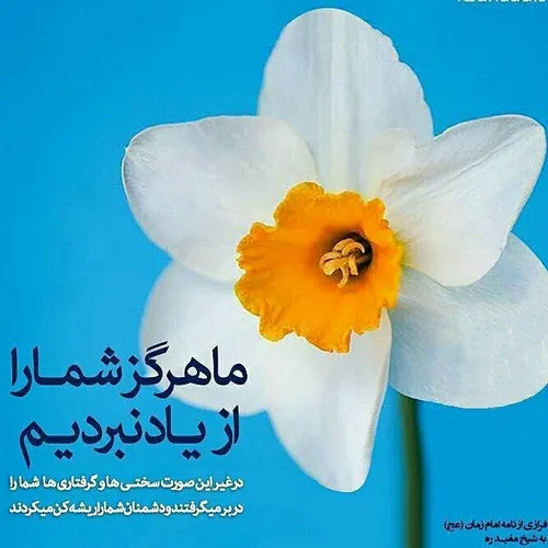 امام زمان یامهدی منجی عالم بشریت