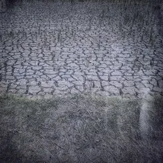 A dried paddy field in a village, Juybar area, #Iran. 