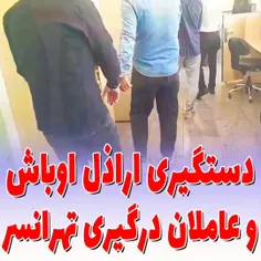 دستگیری عاملان ناامنی در تهرانسر 

