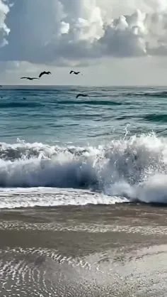 می گویند : شاد بنویس …