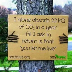 ✅  من به تنهایی، ٢٢ کیلوگرم دی اکسید کربن را هرسال جذب می