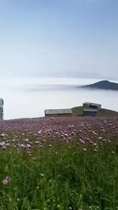 سوزنت گیر نکنه روی آدما،