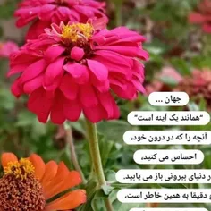 ای صفا و ای وفا در جور عشق