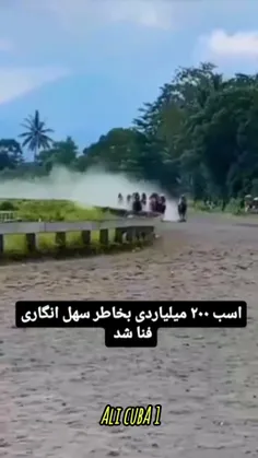 حیوون بی زبون..🥺