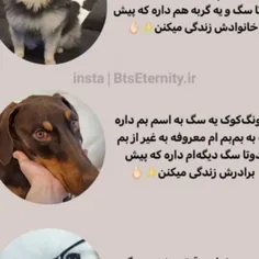 دودوسون و گوروم😭😭