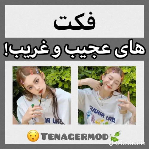  cutestar 66403762 - عکس ویسگون