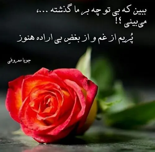 بیا که مانده شرابی به جامِ باده هنوز