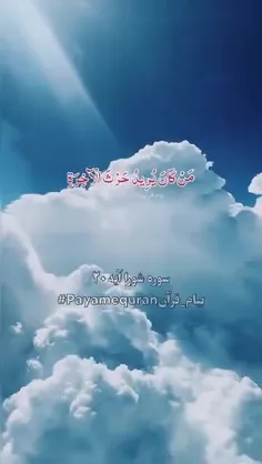 🍃🌸✺✦﷽‌‌‌‌✦✺🌸🍃 
