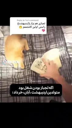 جون باو اردیبهشت هستم