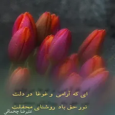 ای که آرامی و غوغا در دلت