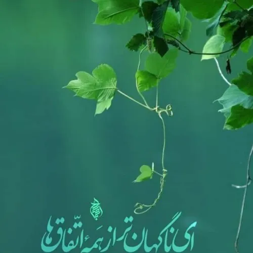 سلام حضرت مهربانی ؛