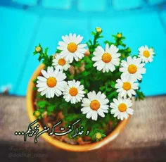 پاداش ترک غیبت
