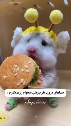 از شنبه ايشالله 😅🐭