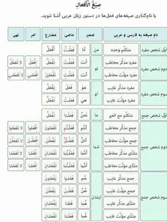 🔻 صیغه فعل ها