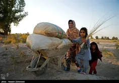 ⤵  زندگی سخت مردم #سیستان در خشکسالی و محرومیت...