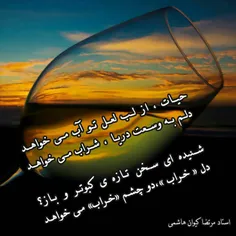 #مرتضا_کیوان_هاشمی