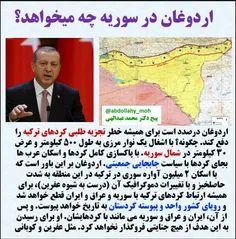 اردوغان در سوریه چه میخواهد ؟