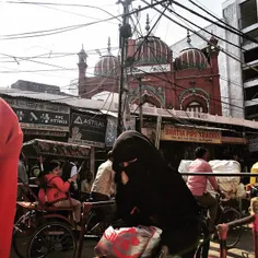 An Indian Muslim woman commutes in a cycle rickshaw in th