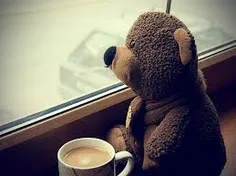 خرس قهوه ای خوشگل ♥