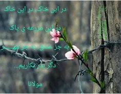 عاشقانه ها shakhshekan 8421086