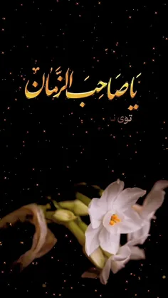  لبیک یا مهدی عجل الله