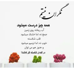 گوناگون alvann 31261440