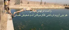 arnoosh_geyner arnoosh geyner