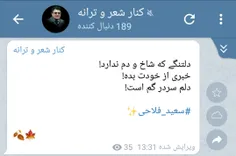 #سعید_فلاحی