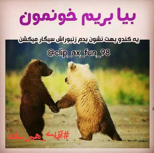 آقای هم ساده