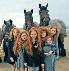 اسکاتلند با ۱۳ درصد جمعیت افراد مو قرمز بیشترین افرد مو ق