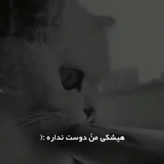 هیشکی ✋😔