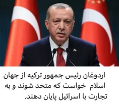 🔴یمنی‌ها هم به حرف اردوغان گوش کردند و به کشتی تجاری ترکی