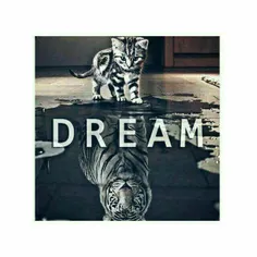 #dream:)