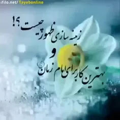 mohammadabbasikafsh 65164354