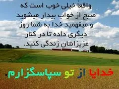 خدایا شکرت