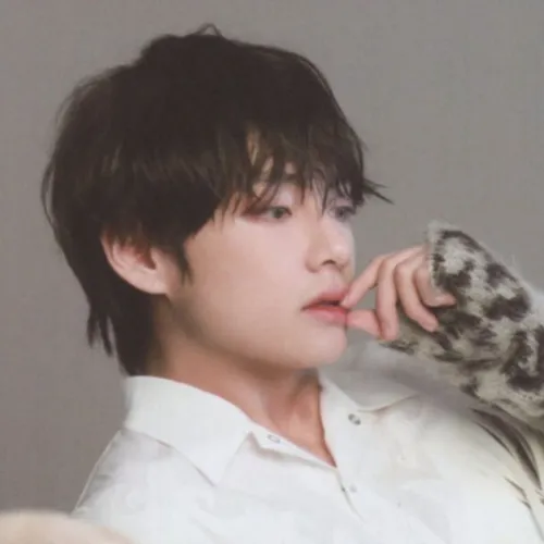 bts V