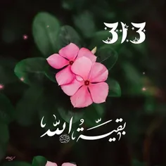 به صفایت قسم گل نرگس